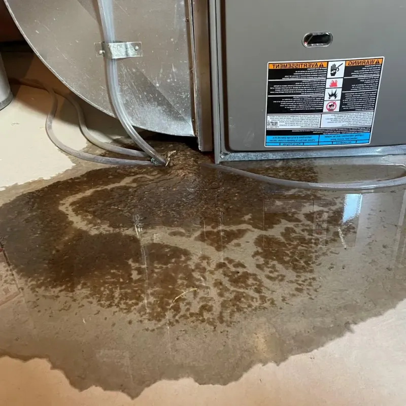 Pipe Burst and Leak Restoration in City of Norton, VA