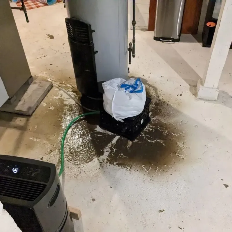 Sewage Backup Cleanup Service in City of Norton, VA